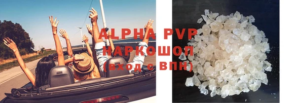 гашик Каменка