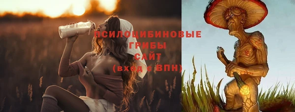 гашик Каменка