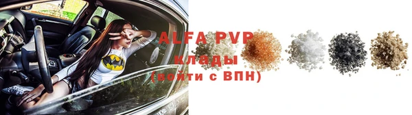 гашик Каменка