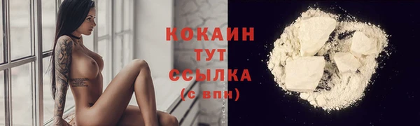 гашик Каменка