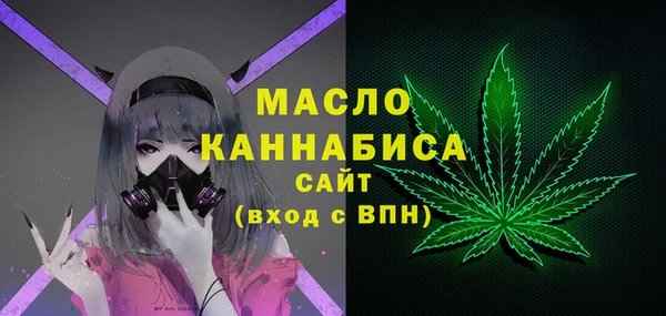 гашик Каменка