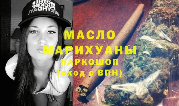 гашик Каменка