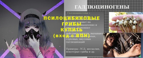 гашик Каменка
