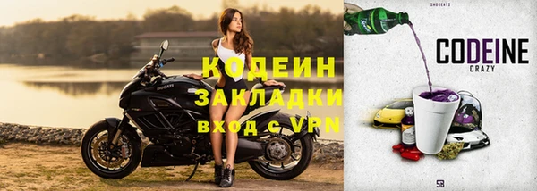 гашик Каменка