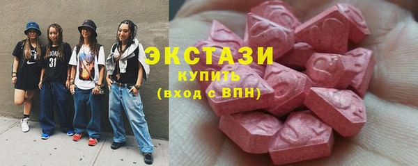 гашик Каменка