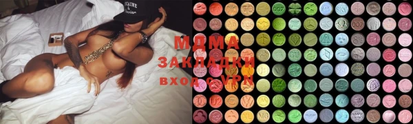гашик Каменка