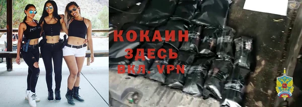 гашик Каменка