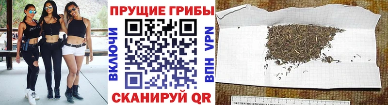 Галлюциногенные грибы Cubensis  Купить закладки  Уржум 